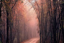 南非运动员再度登上领奖台，取得佳绩