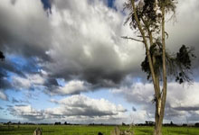 尤文图斯展示强大实力，击败对手