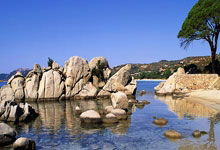 尤文图斯展示强大实力，击败对手